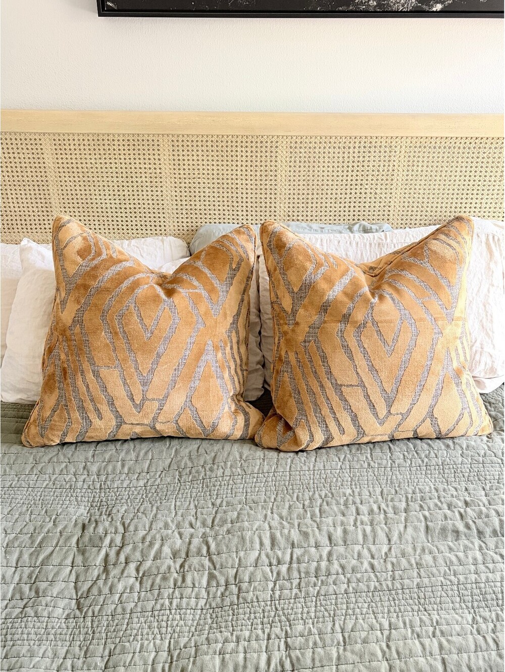 Decorative Throw Pillow and Cover Set of 2 Feather Camel Geometric Print 24x24